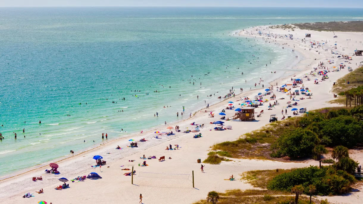 Florida Car Hire Dynamic Pricing graph